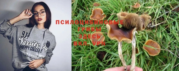 ALPHA-PVP Инсар