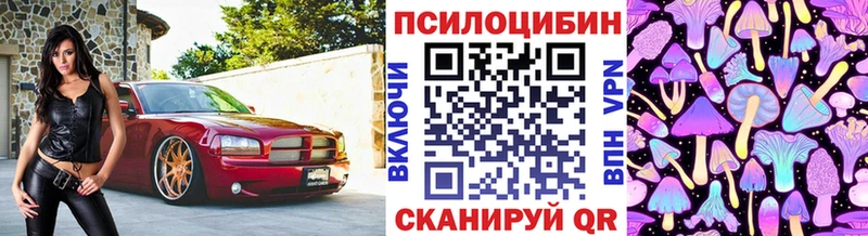 Купить где  Вытегра  Галлюциногенные грибы Psilocybine cubensis 